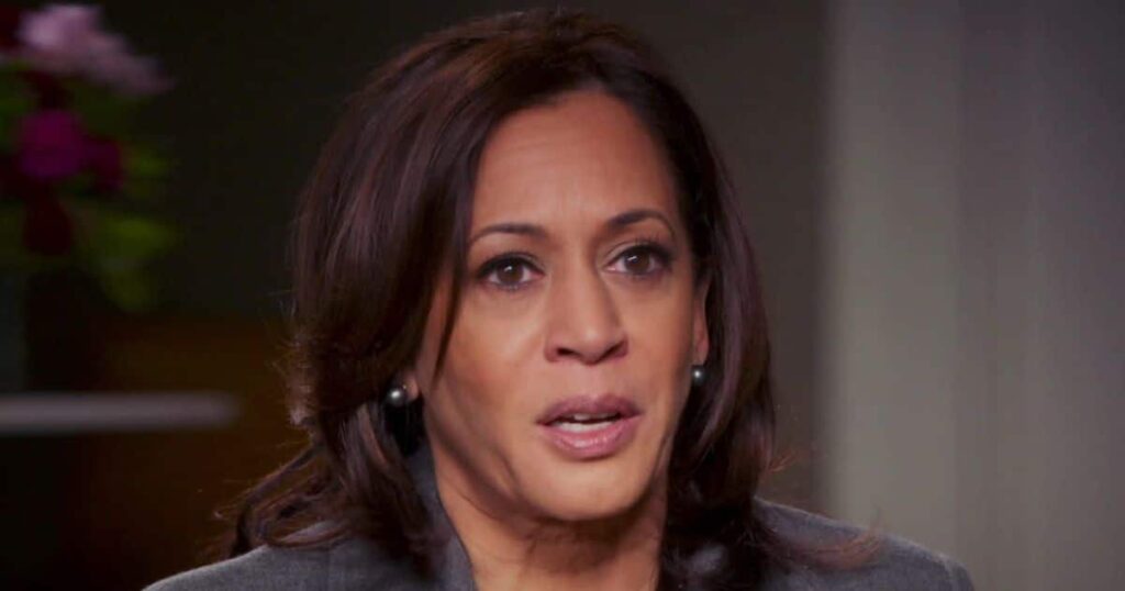 Democrat Political Analysts Warn Kamala Harris Against California Governor Run