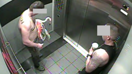 He Said He Drank 40 Beers—Then Took a Flamingo. A Vegas Jury Just….